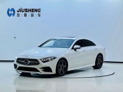 Mercedes-Benz CLS 300 luxury - фото 1