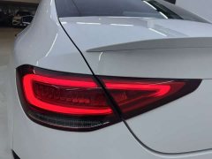 Mercedes-Benz CLS 300 luxury - фото 16