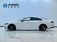 Mercedes-Benz CLS 300 luxury - фото 3