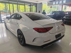 Mercedes-Benz CLS 300 luxury - фото 6