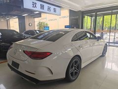 Mercedes-Benz CLS 300 luxury - фото 7