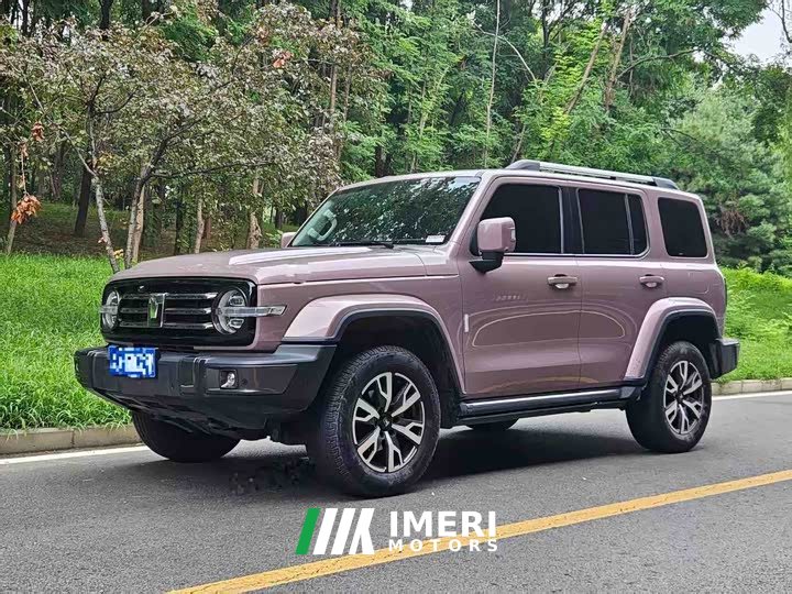 Tank 300 City Edition 2.0T Very Stylish - автомобиль из Китая