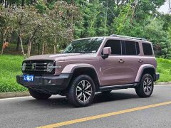 Tank 300 City Edition 2.0T Very Stylish - фото 1