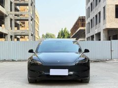 Tesla Model 3 2023 rear-wheel drive version - фото 2