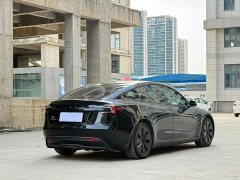 Tesla Model 3 2023 rear-wheel drive version - фото 9