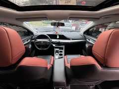 Ford EADO 2023 Enjoy Edition PLUS Blue Whale NE 1.4T GDI DCT Premium Edition - фото 11