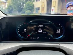 Ford EADO 2023 Enjoy Edition PLUS Blue Whale NE 1.4T GDI DCT Premium Edition - фото 12
