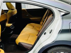 Lexus ES 300h Premium Edition - фото 13