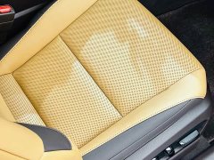 Lexus ES 300h Premium Edition - фото 20