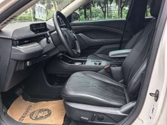 Ford Electric Horse 2021 Rear-wheel drive version (standard range) - фото 11