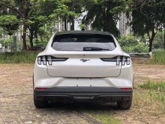 Ford Electric Horse 2021 Rear-wheel drive version (standard range) - фото 12