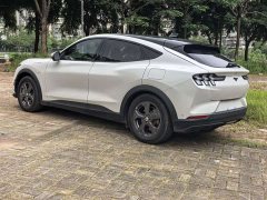Ford Electric Horse 2021 Rear-wheel drive version (standard range) - фото 13