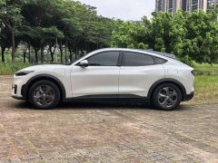 Ford Electric Horse 2021 Rear-wheel drive version (standard range) - фото 14