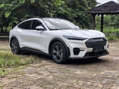 Ford Electric Horse 2021 Rear-wheel drive version (standard range) - фото 15