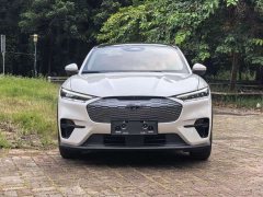 Ford Electric Horse 2021 Rear-wheel drive version (standard range) - фото 2