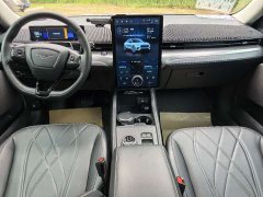 Ford Electric Horse 2021 Rear-wheel drive version (standard range) - фото 4