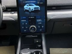 Ford Electric Horse 2021 Rear-wheel drive version (standard range) - фото 5