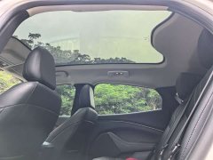 Ford Electric Horse 2021 Rear-wheel drive version (standard range) - фото 7