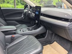 Ford Electric Horse 2021 Rear-wheel drive version (standard range) - фото 8