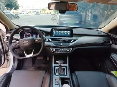 Ruicheng CC Blue Whale Edition 1.5T DCT Luxury - фото 10