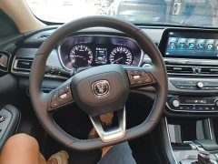 Ruicheng CC Blue Whale Edition 1.5T DCT Luxury - фото 11