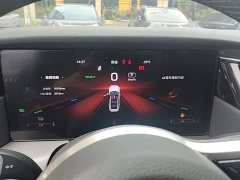 Hongqi HS7 PHEV 2.0T PHEV four-wheel drive Qichang version 7 seats - фото 12