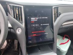 Hongqi HS7 PHEV 2.0T PHEV four-wheel drive Qichang version 7 seats - фото 13