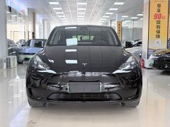 Tesla Model Y facelift rear-wheel drive version - фото 2