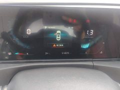 Ford EADO PLUS Blue Whale NE 1.4T GDI DCT Premium Type - фото 14