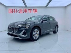 Audi e-tron 2021 50 quattro luxury - фото 1