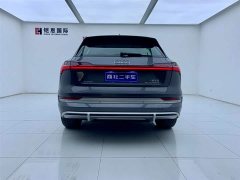 Audi e-tron 2021 50 quattro luxury - фото 5