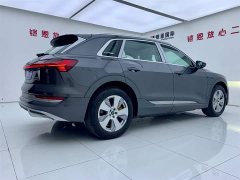 Audi e-tron 2021 50 quattro luxury - фото 6
