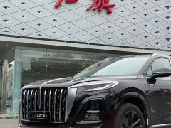 Hongqi HS3 PHEV 125km Jinwei PLUS 2 million commemorative edition - фото 3