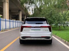 Hongqi E-HS9 690km flagship version six seats - фото 4
