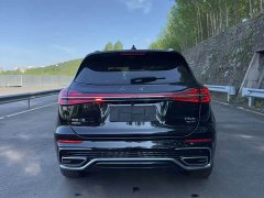 Hongqi HS5 2023 2.0T four-wheel drive Qixiang Pro version - фото 8