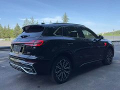 Hongqi HS5 2023 2.0T four-wheel drive Qixiang Pro version - фото 9