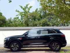 Hongqi HS5 2022 facelift 2.0T Zhilian Flagship Edition - фото 15