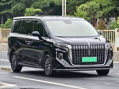 Hongqi HQ9 PHEV 2.0T four-wheel drive business version - фото 3