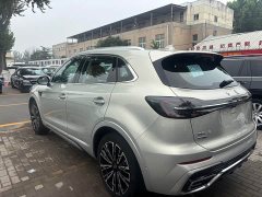 Hongqi HS5 2.0T four-wheel drive flag collar Pro version - фото 6