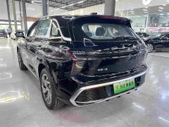 Hongqi HS3 PHEV 2024 115km Jinwei Edition - фото 13
