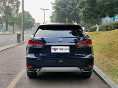 Lexus RX 2020 facelift 300 four-wheel drive elegant version - фото 5