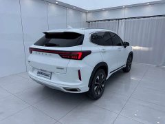 Forthing Xingtu Chasing the Wind Riding the Wind and Waves Edition 1.5T CVT Yufengxing Edition - фото 4