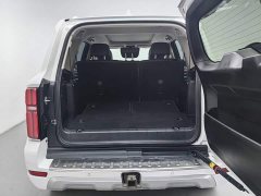 Tank 500 3.0T sports version, environment type, 7 seats - фото 16
