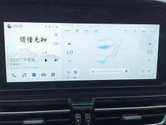 Hongqi HS5 2023 2.0T Qixiang Pro version - фото 13