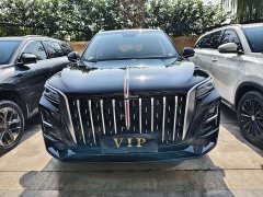 Hongqi HS5 2.0T two-wheel drive Qiyun Pro version - фото 2