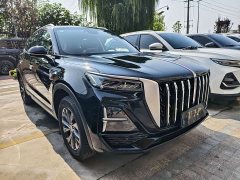 Hongqi HS5 2.0T two-wheel drive Qiyun Pro version - фото 3