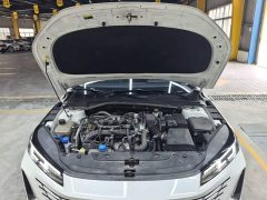 Ford Eado 1.5T GDI Automatic Enjoy Edition - фото 20