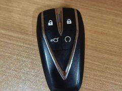 Ford Eado 1.5T GDI Automatic Enjoy Edition - фото 9
