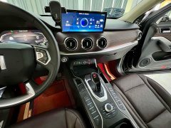 Great Wall Weipai VV6 2.0T 2WD Smart Enjoy - фото 12