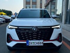 Baojun Yueye flagship version - фото 2